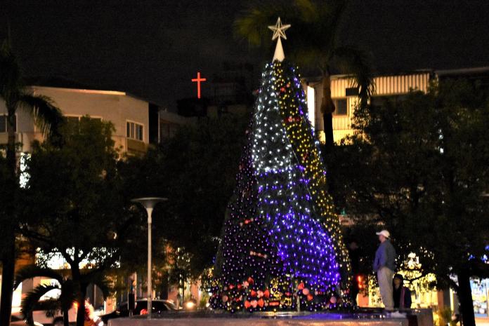 ▲府前廣場6米高耶誕樹將持續點亮到109年1月12日。（圖／記者陳雅芳攝，2019.12.06）