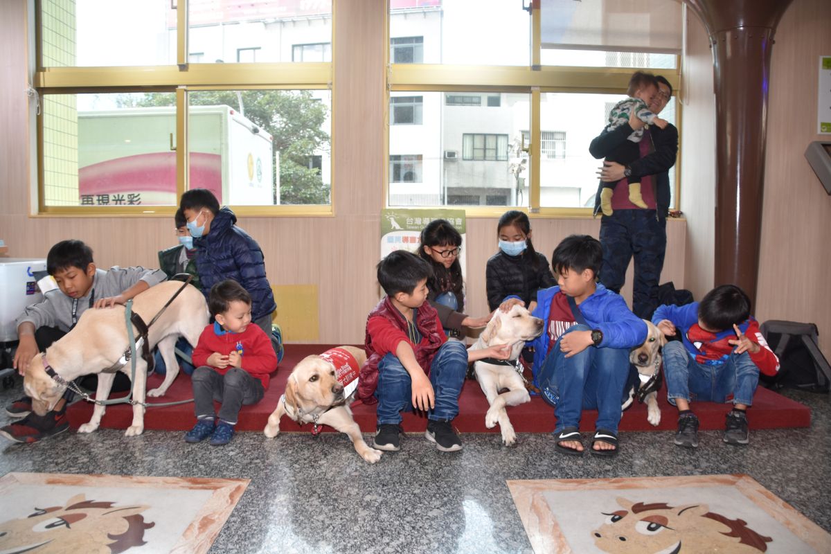▲狗天使與小朋友開心互動， 藉由活動，讓醫護人員、病童及家屬，認識導盲犬及醫院機構犬的性質。（圖／記者葉靜美攝，2019.12.07）