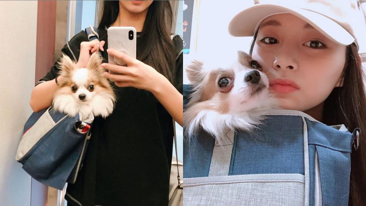 ▲子瑜擁有甜美亮麗的外表。（圖／翻攝IG） 