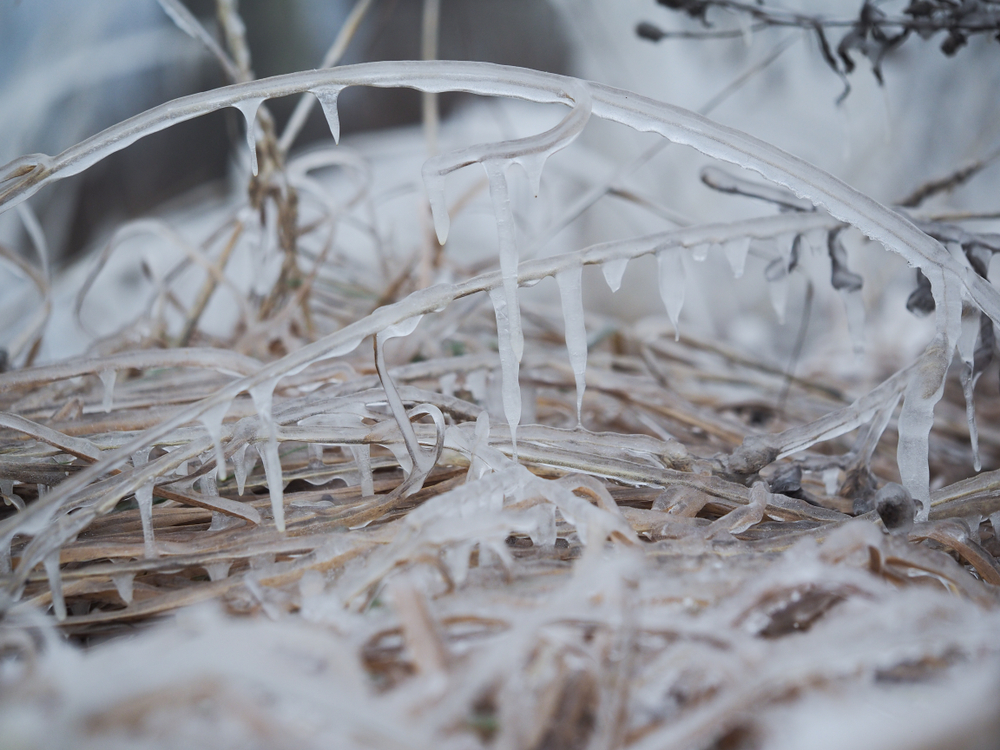 冬天早晚溫差大，夜間防寒須注意。泰國一名38歲男子菲瑞森（Prasarn Homthong），被8歲大的女兒潘瓦拉（Panwira Noipha）發現凍死在床上。（示意圖／shutterstock）