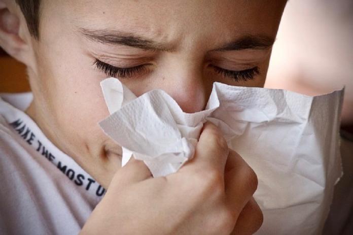 流感再增9個死亡案例　全部中標Ａ流且沒打疫苗
