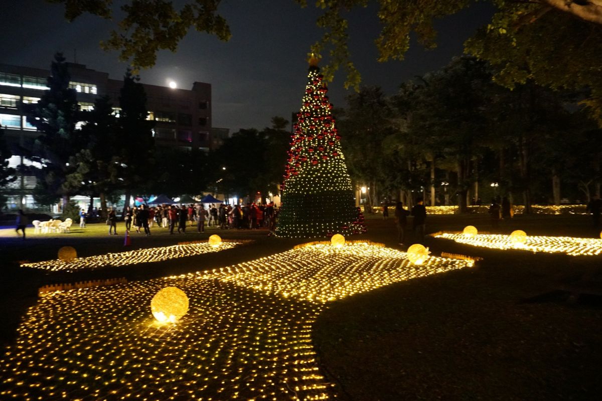 ▲虎科大美麗的校園夜景，繽紛聖誕樹將持續點亮到明年元宵節前。（圖／記者洪佳伶攝 , 2019.12.12）