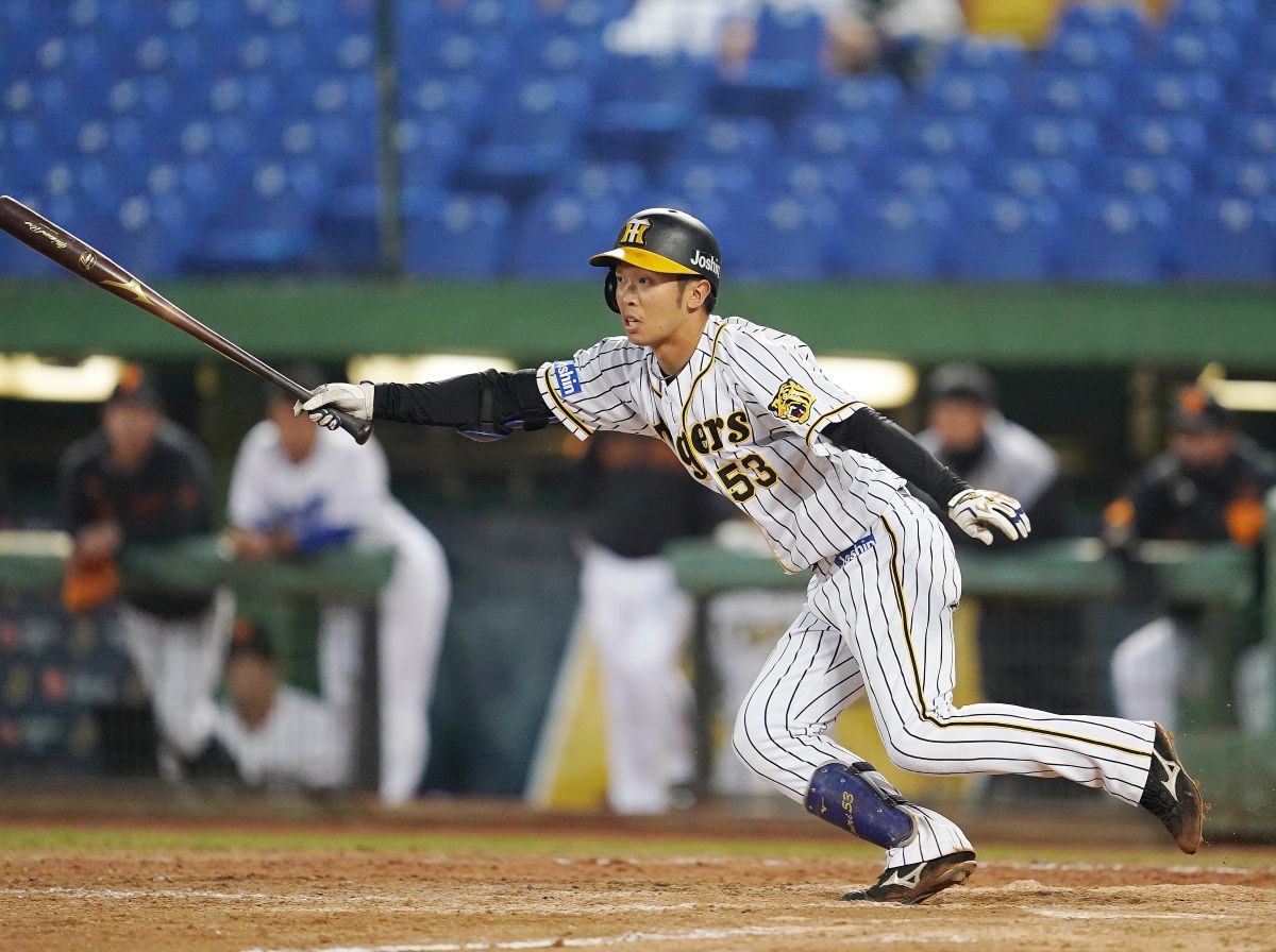 ▲阪神虎隊外野手島田海吏。（圖／中職提供）
