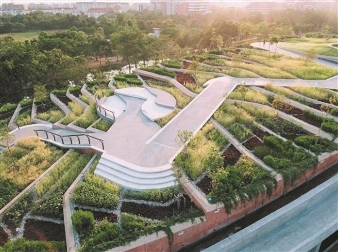 ▲泰國法政大學的屋頂農場於10日揭幕，據悉，總面積達7000平方公尺，位於泰國首都曼谷市約40公里。（圖／泰國世界日報）