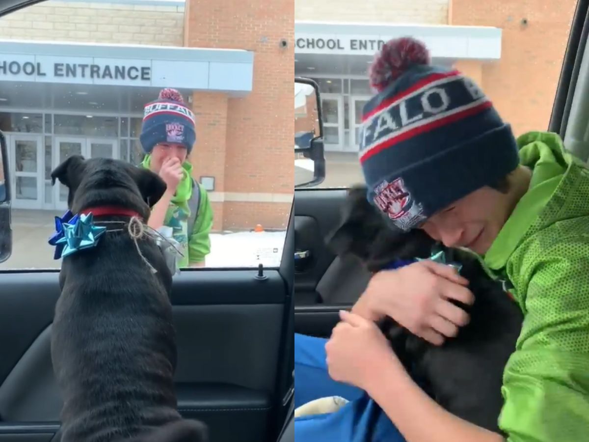 卡特震驚之餘在車外待了一下子才進來，緊緊摟著派柏不放，除了哭泣說不出任何話語，情緒十分激動，而派柏也顯得非常開心。（圖／Facebook@April Elizabeth Licata）