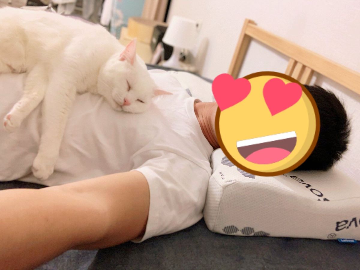 ▲日前有網友分享網紅界隱藏男神，而引起許多人熱議。（圖／取自豆漿臉書）