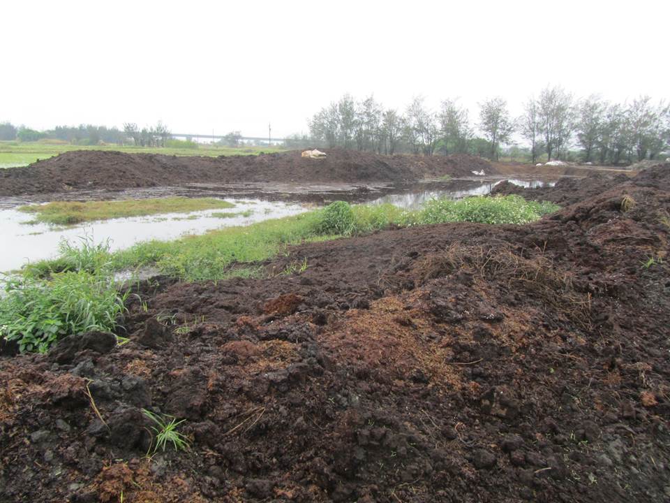 ▲食品業者製造肉品時會生產大量食品加工污泥，有環保掮客勾結食品公司委由清運，實際上卻是交由不法清運公司隨意填置。（圖／記者陳雅芳翻攝，2019.12.16）