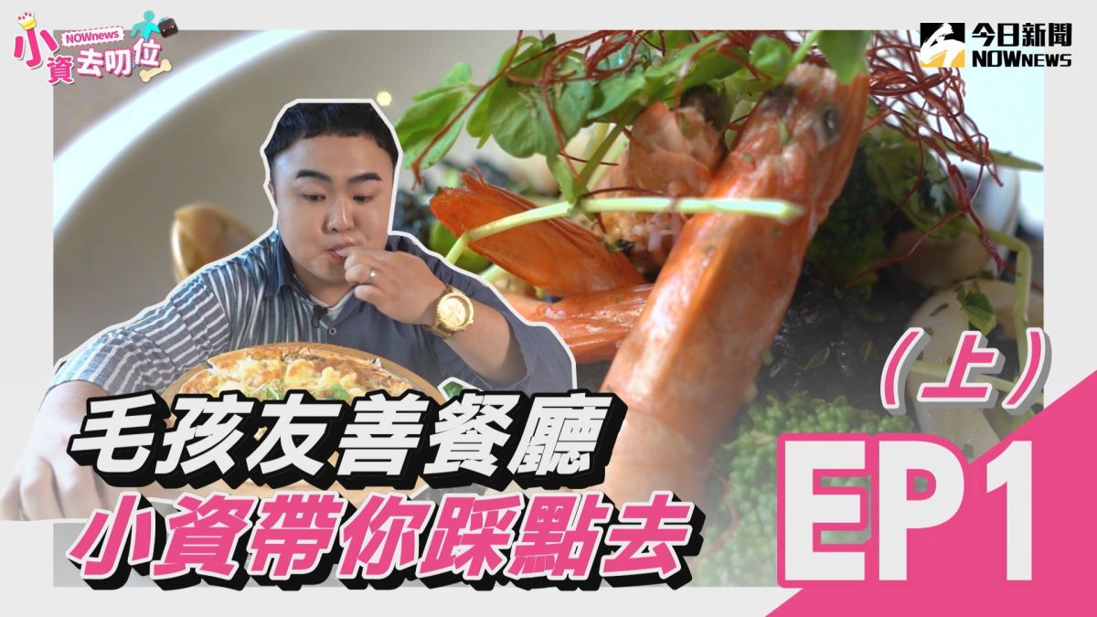 小資去叨位第一集（上）/毛小孩來這裡 帶你踩點寵物友善餐廳。▲（圖／影像中心製作）