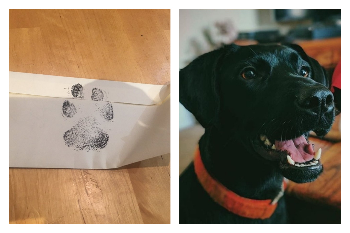 ▲（圖／翻攝自推特）