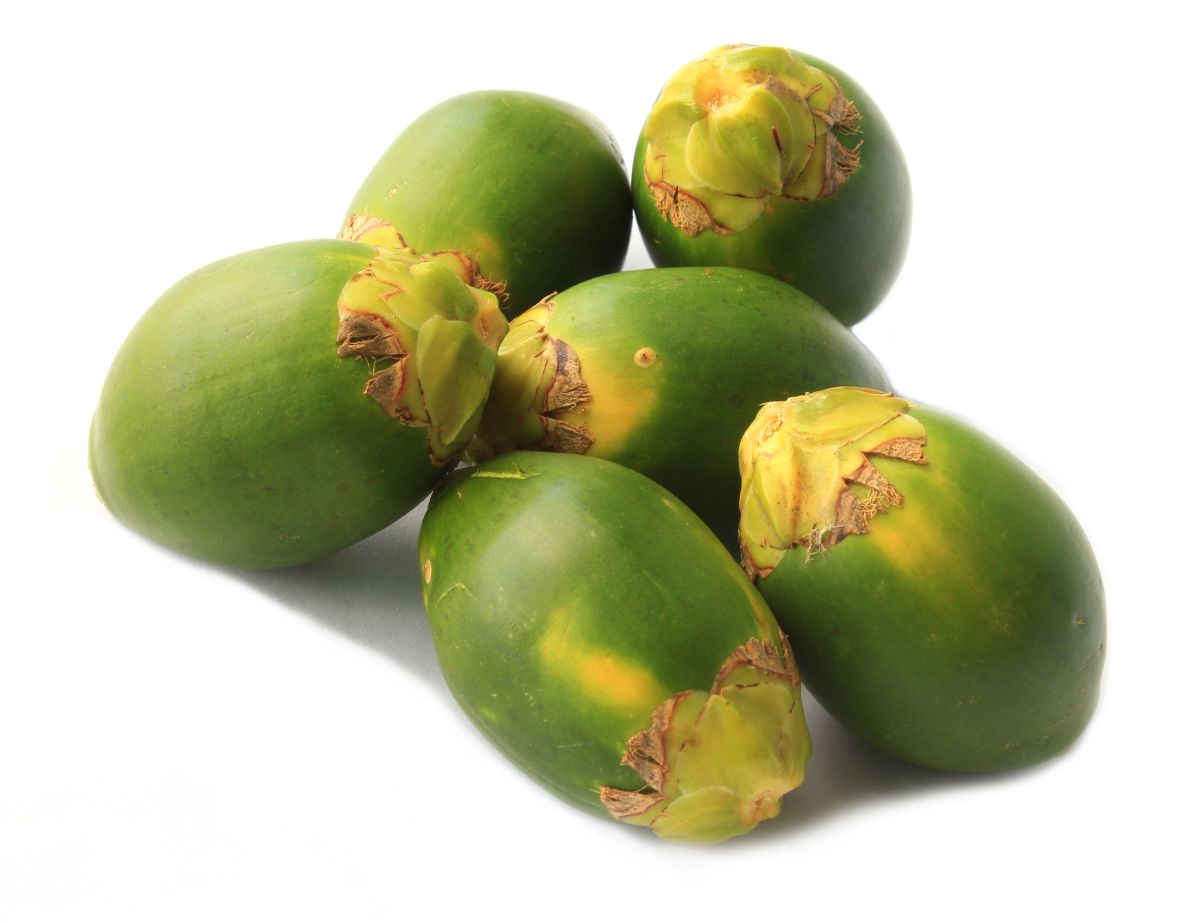 ▲據中國使館通報，近期有台灣人因攜帶檳榔入境土耳其被捕，因為土耳其認定檳榔所含的檳榔鹼是毒品。（示意圖／shutterstock）