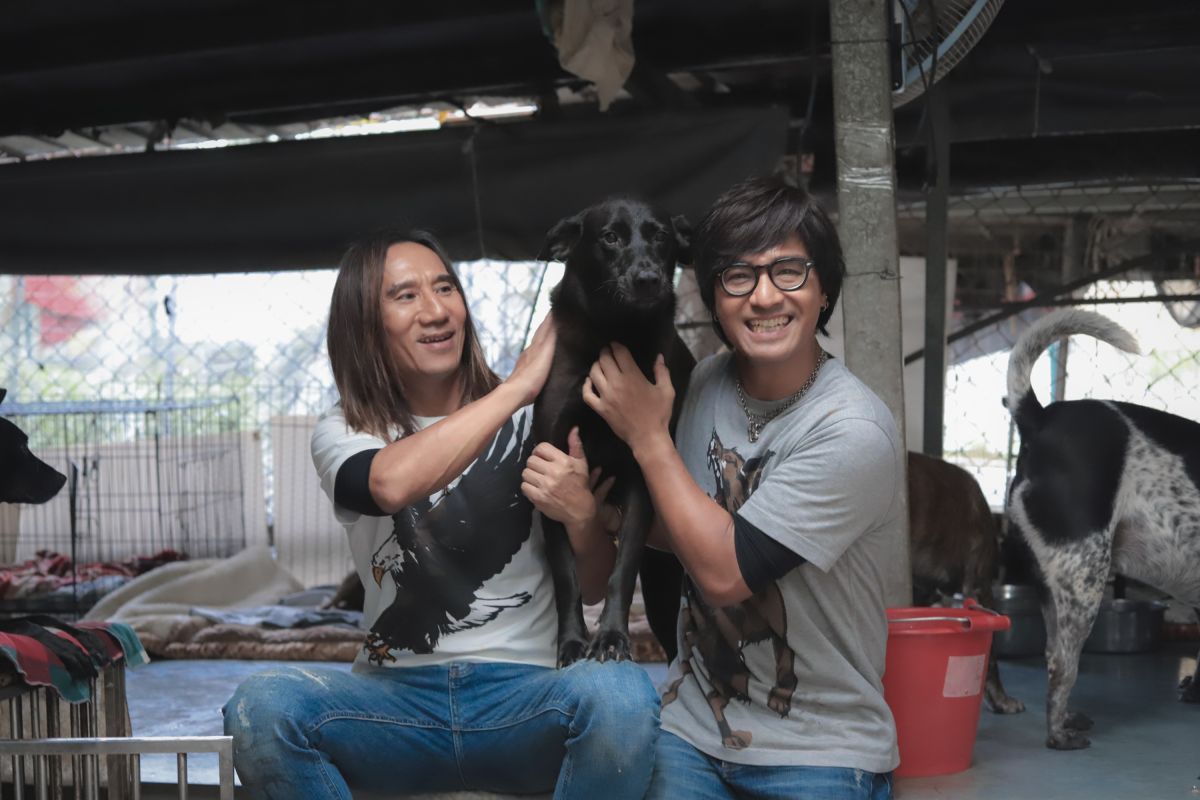 ▲動力火車做公益。（圖／華研國際）