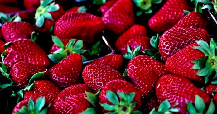 ▲草莓是許多人愛吃的水果之一。（圖／取自pixabay）