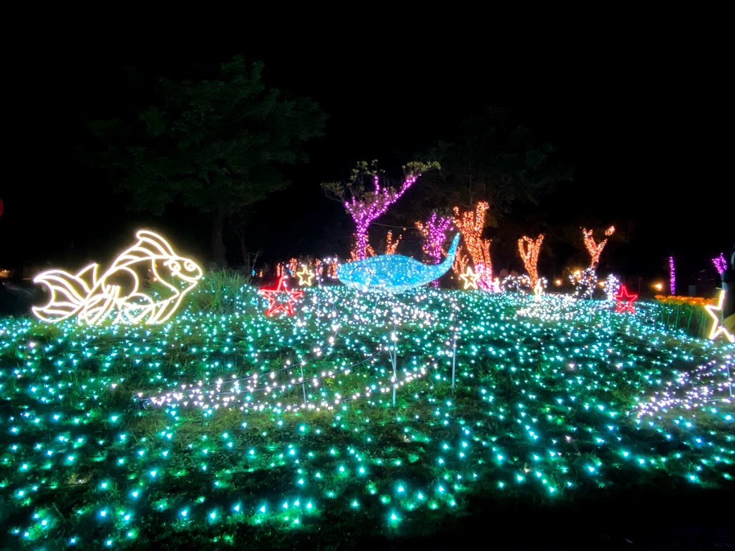 ▲宜蘭縣政中心大型燈飾。（圖／記者李清貴攝,2019.12.23)