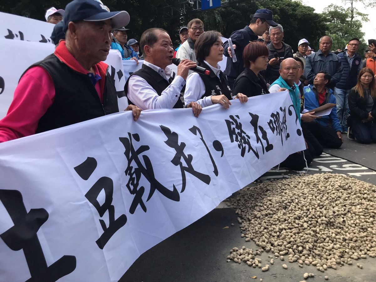 ▲雲林縣議會副議長蘇俊豪等議員日前號召200多位農民，北上至行政院農委會陳情花生問題。（圖／記者賴志昶攝）