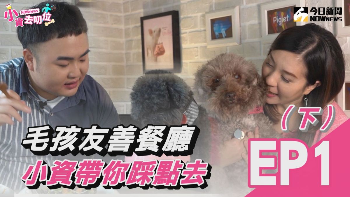 小資去叨位第一集（下）/毛孩友善餐廳　小資帶你踩點去。▲（圖／影像中心製作）