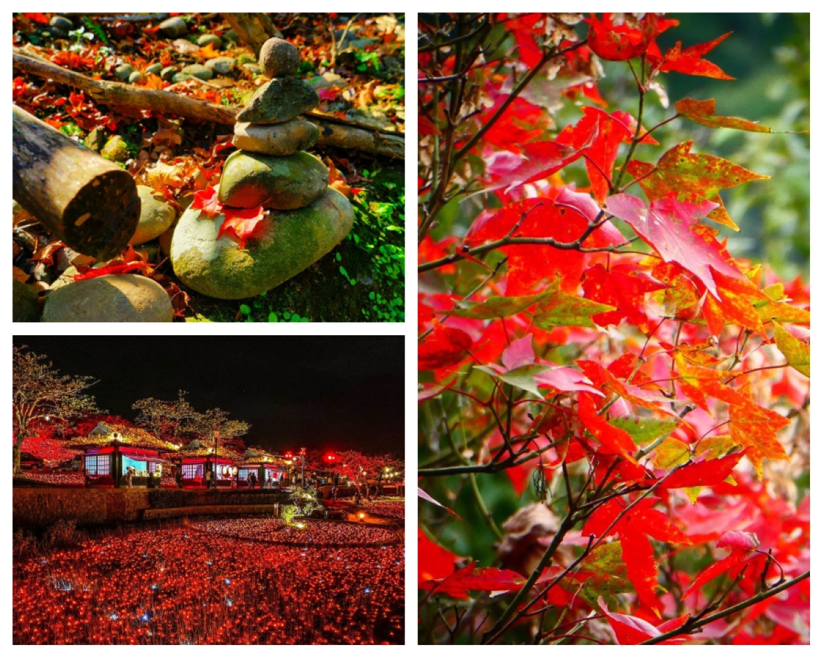 ▲來去好楓景　秋冬就是要追楓去(圖/授權自IG)