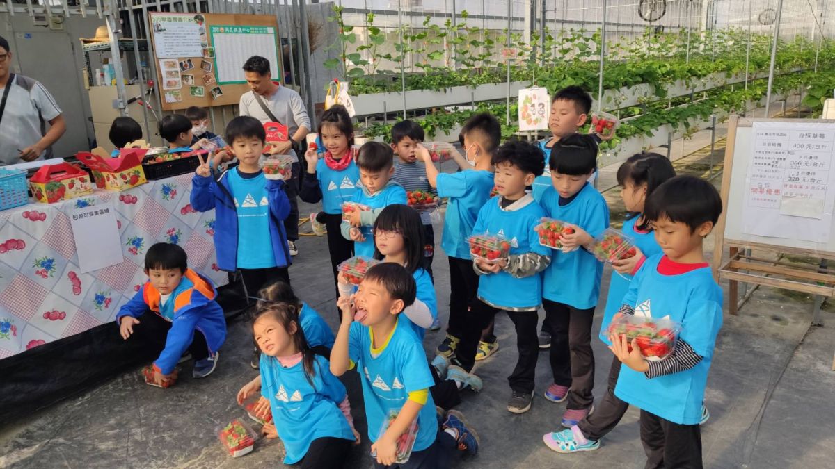 ▲農會四健會攜手文德國小進行「採草莓、慶耶誕」的活動，讓小朋友高興歡渡耶誕節，藉由食農教育紮根，讓更多學子能夠瞭解家鄉的特產。（圖／記者陳雅芳攝，2019.12.24）