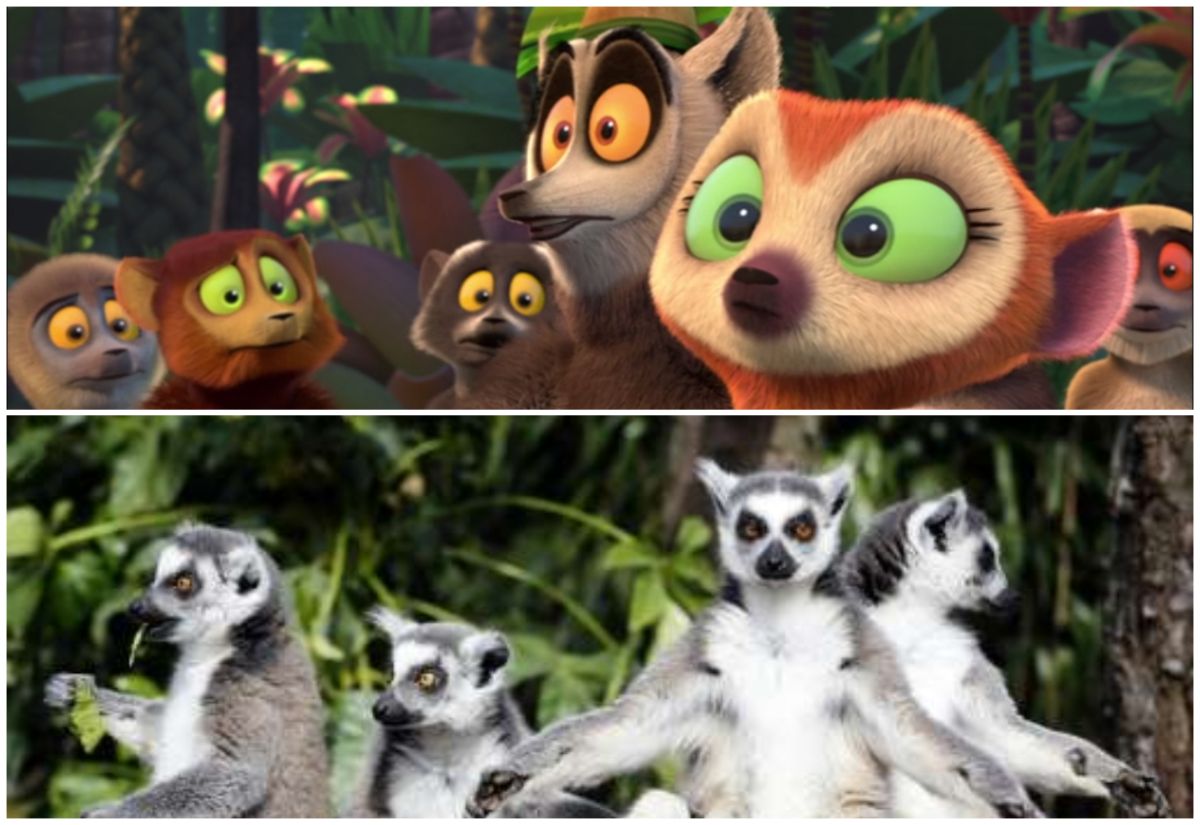 ▲迪士尼夢工廠的動畫長片《馬達加斯加》中的角色狐猴國王朱利安受到廣大影迷的喜愛。（圖／翻攝自／IMDb／phys.org ）
