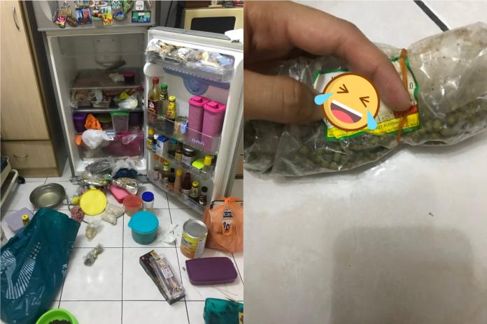 ▲馬來西亞一名人妻發現冰箱中的「骨灰級」冷凍包，丈夫將其 po 網後引發熱烈討論。（合成圖／翻攝自 @paantastik 推特）