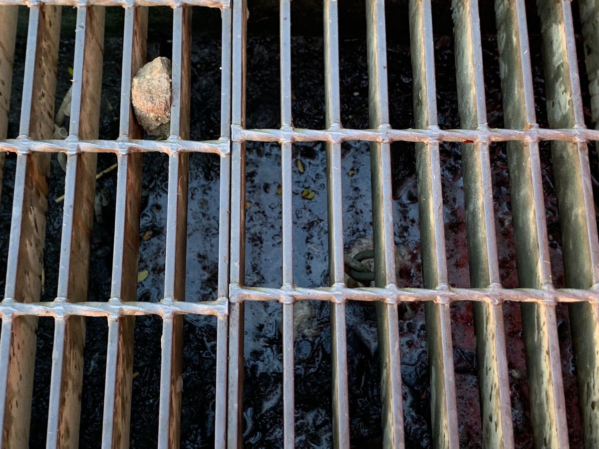 ▲台灣燈會文心森林公園美食區，水溝散發出惡臭味。 (圖／江肇國服務處提供2019.12.26)