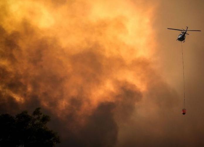 ▲澳洲野火延燒多日，造成東岸都市空氣污染，也導致許多野生動物死亡。（圖／翻攝自 9news ）