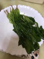 ▲有著特殊口感的長年菜,被大家討厭了QQ。(圖/翻攝爆廢公社) ▲有著特殊口感的長年菜,是不少小孩過年的夢魘,經常被媽媽逼著吃下去。(圖/翻攝爆廢公社)