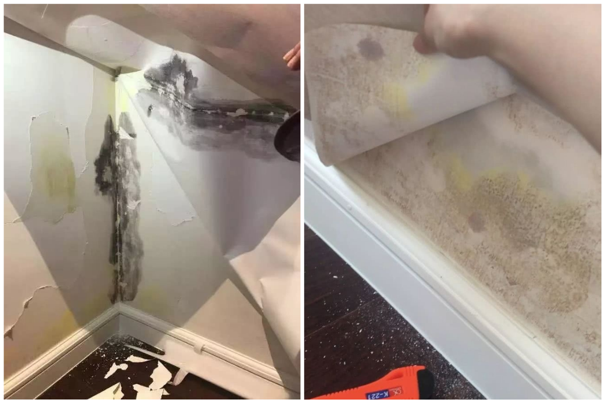 ▲ 8,600 萬豪宅竟出現誇張的漏水、發霉情況。（合成圖／翻攝自新民晚報）