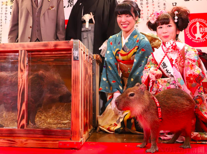 大阪通天閣舉行干支引繼儀式　水豚君展現東京奧運野望
