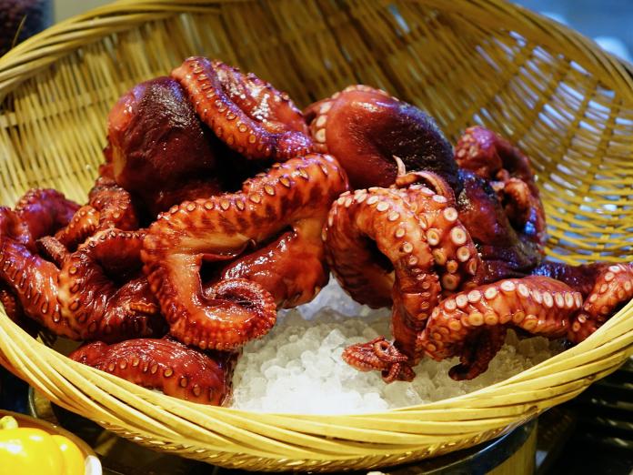 ▲章魚是日式料理中不可或缺的一道菜。（圖／翻攝自 Pixabay ）