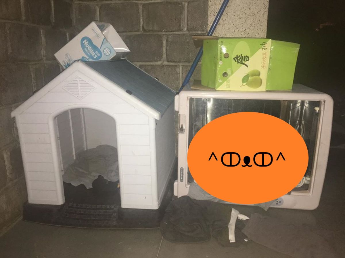 網友Brandon Yeh買了一間貓屋給浪貓，但牠們卻選擇撿來的烘碗機（圖／網友Brandon Yeh授權提供）