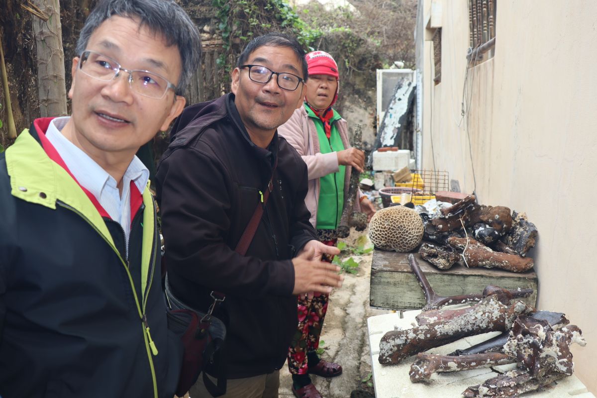 ▲觀光局澎管處長許宗民造訪湖西鄉北寮村「尋寶」，發現村長許源章、漁民洪國會家人藏有許多水下古生物化石。（圖／記者張塵攝，2019.12.31）