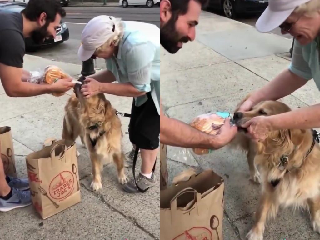 墨菲緊咬著麵包，男子和飼主只好一左一右奮力「拔河」。（圖／tiktok@hammalammadingba ） 