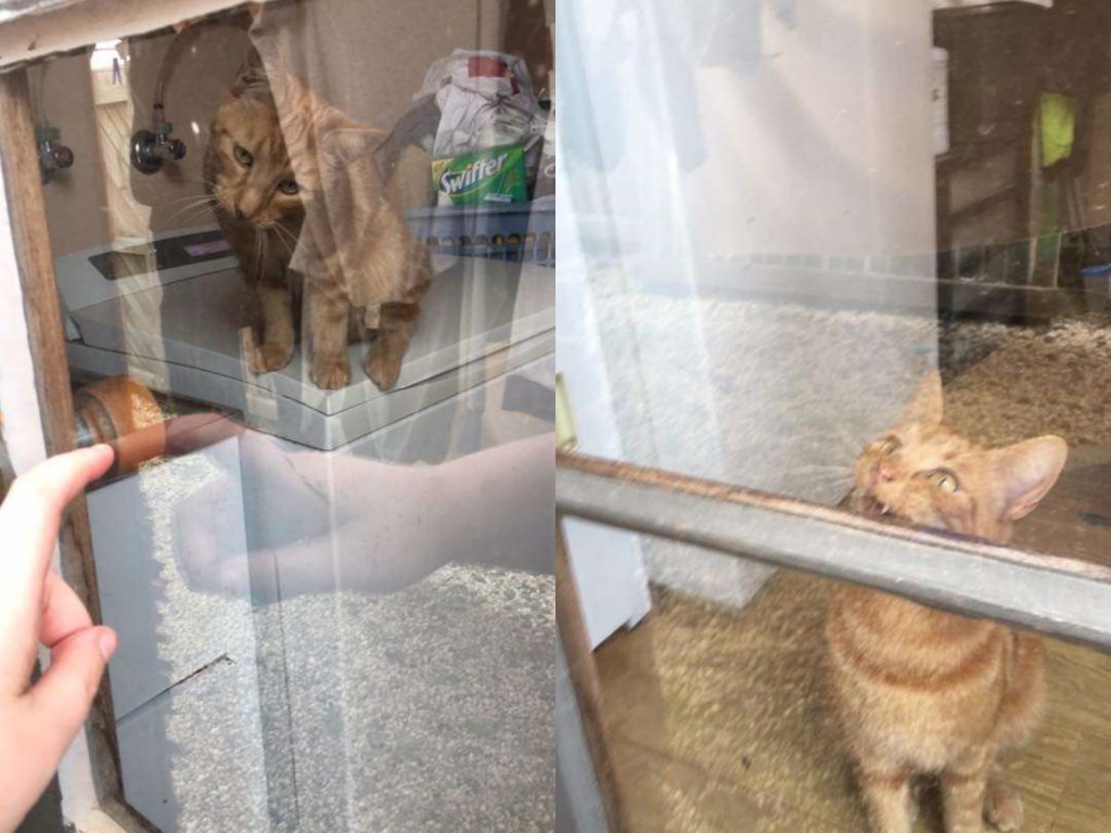 麻～你要幹嘛啦～幹嘛不進來～（圖／Claire Paynter） 