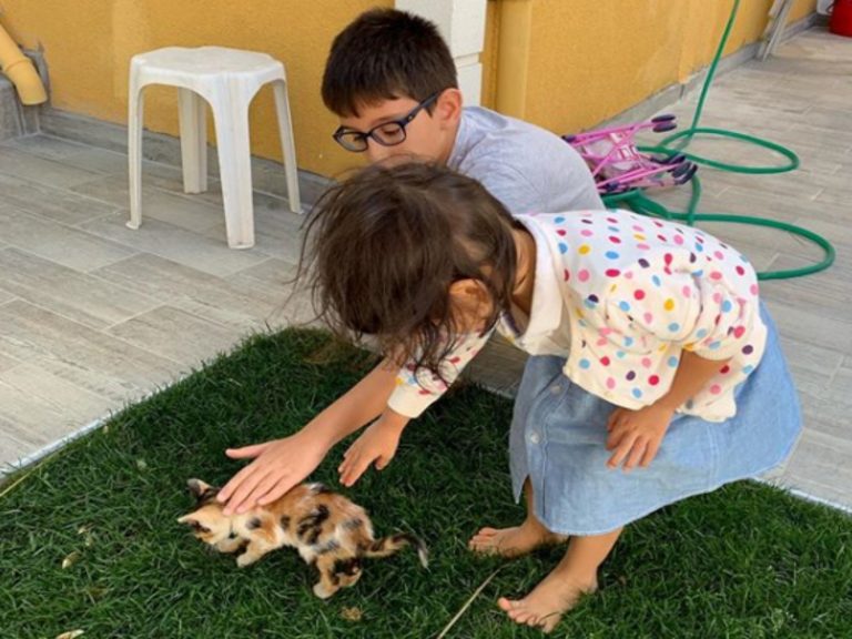女兒在土耳其交到貓咪朋友　吳鳳拍下暖心畫面分享育兒經
