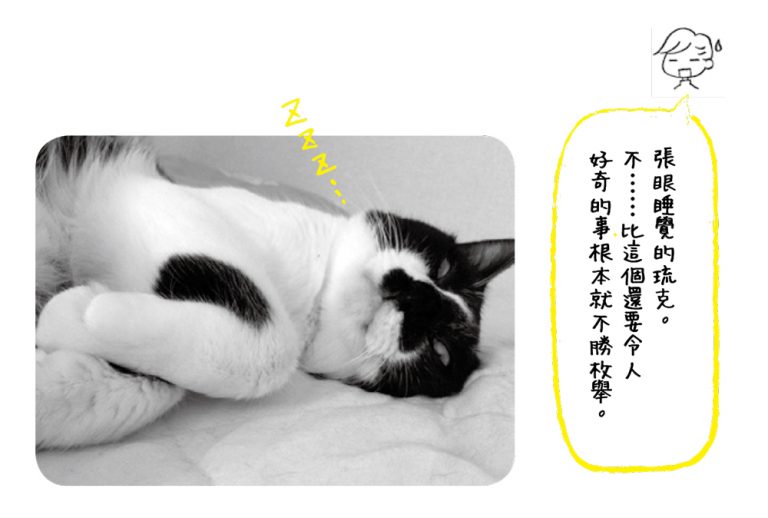 養貓好療癒？日本貓奴要來告訴你貓咪的真面目!