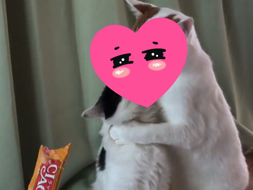 奴才：欸欸欸這個太過分囉！你們有看到我還在這裡嗎？(圖/Twitter@shirokenoneko) 