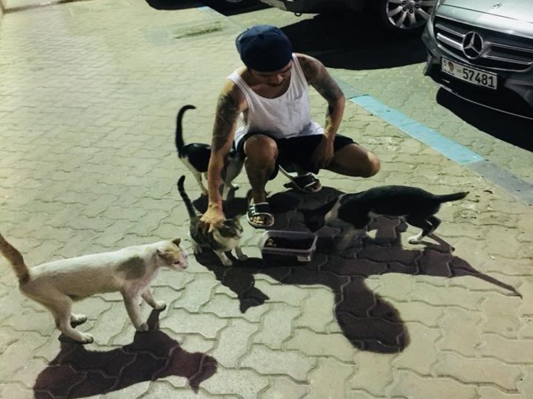菲律賓男子除了在阿布達比工作，也花時間照顧街上浪貓（圖／FB@Ethan Lobis）