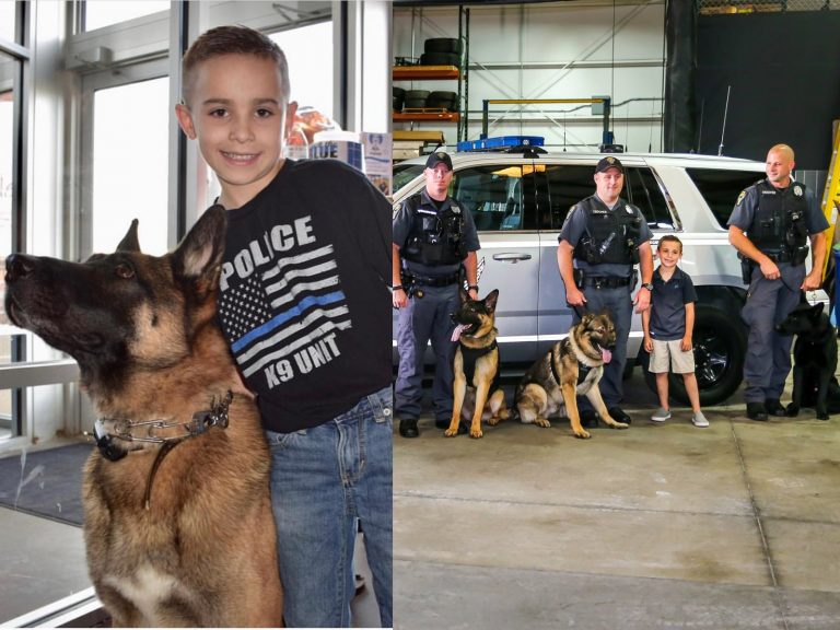從一開始的4隻警犬開始，至今布雷迪已幫助超過百隻警犬獲得防彈背心。（圖／Facebook@Brady’s K9 Fund） 