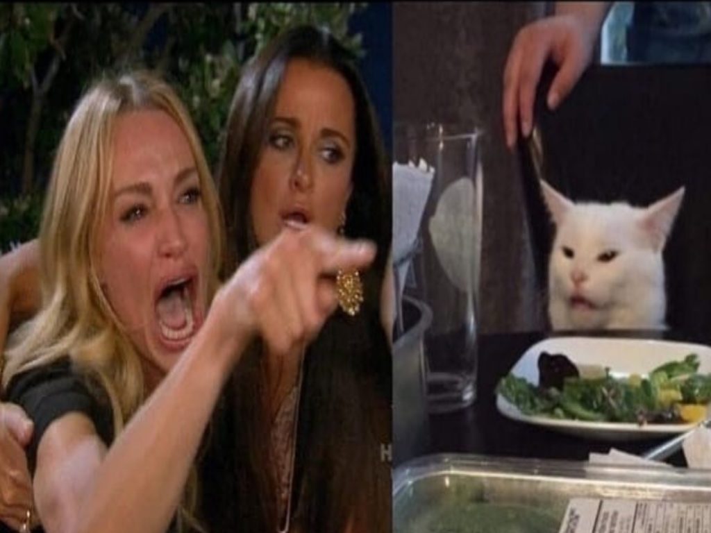 白貓Smudge因為這組照片而爆紅！（圖／twitter@MISSINGEGIRL）