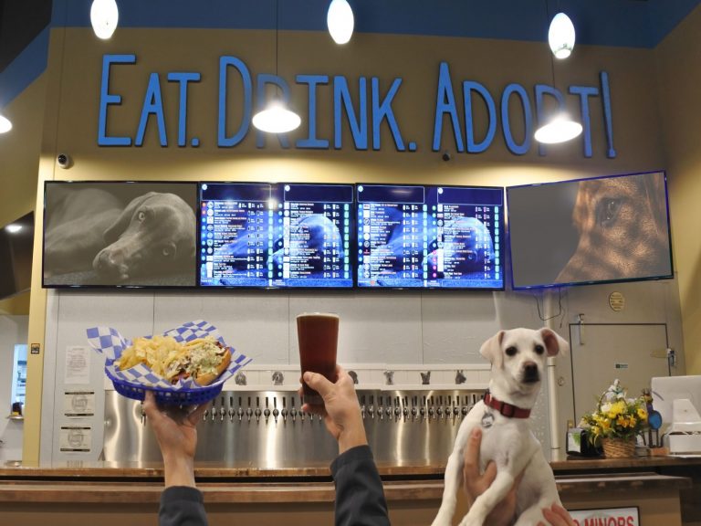 美國一間啤酒餐廳除了提供多款精釀啤酒以及美食以外，還有狗狗領養服務！（圖／Justsomething.com）