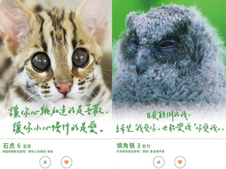 台三線藝術季幫保育動物「徵友」　創意貼文網驚豔：超會撩！
