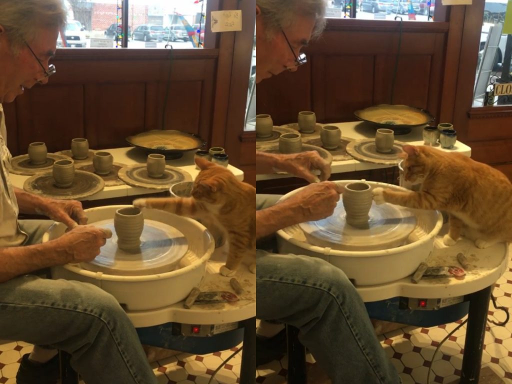 齁～尼到底會不會啦！看不下去耶～（出掌）（圖／Facebook@The Gathering In Rogers） 