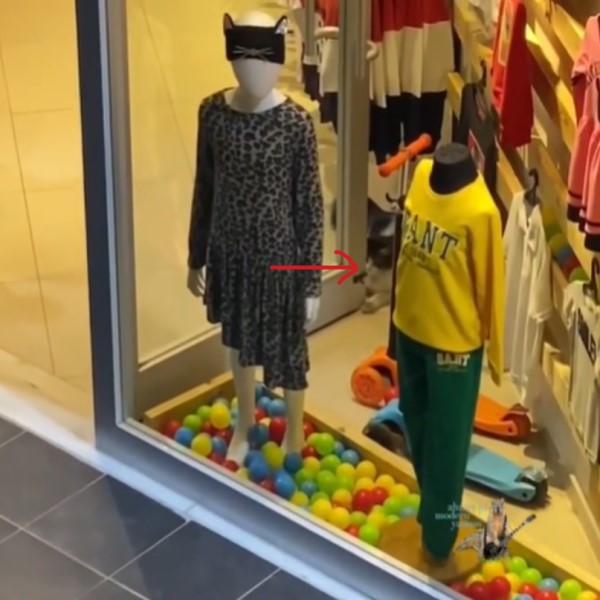 土耳其服飾店放童趣擺設　沒想到竟引來貓咪偷球玩！