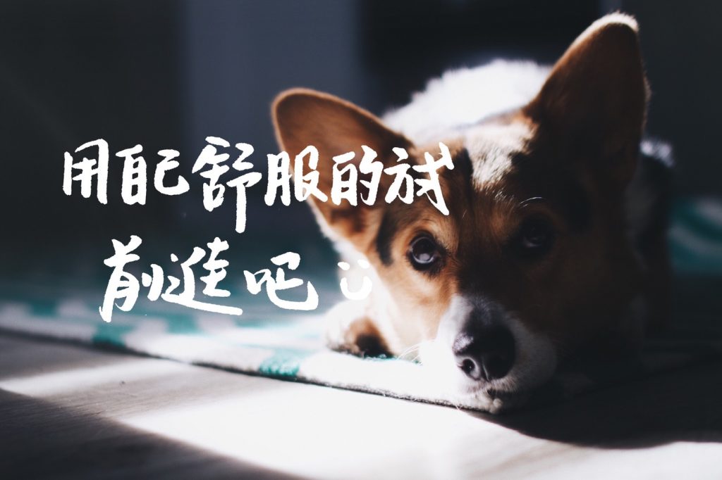  ▲如果你想要知道你對於感情的一些觀點和看法，可以先試著思考下面三個問題（圖／海苔熊）