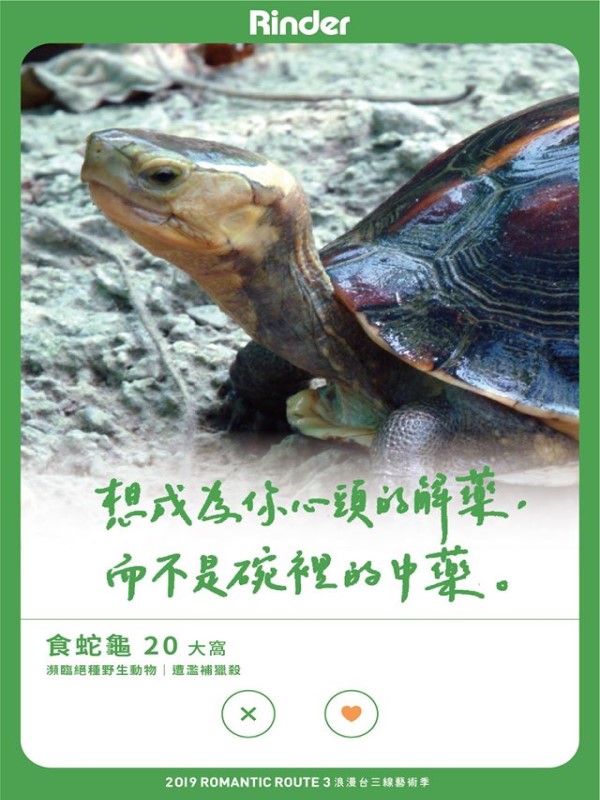 台三線藝術季幫保育動物「徵友」　創意貼文網驚豔：超會撩！