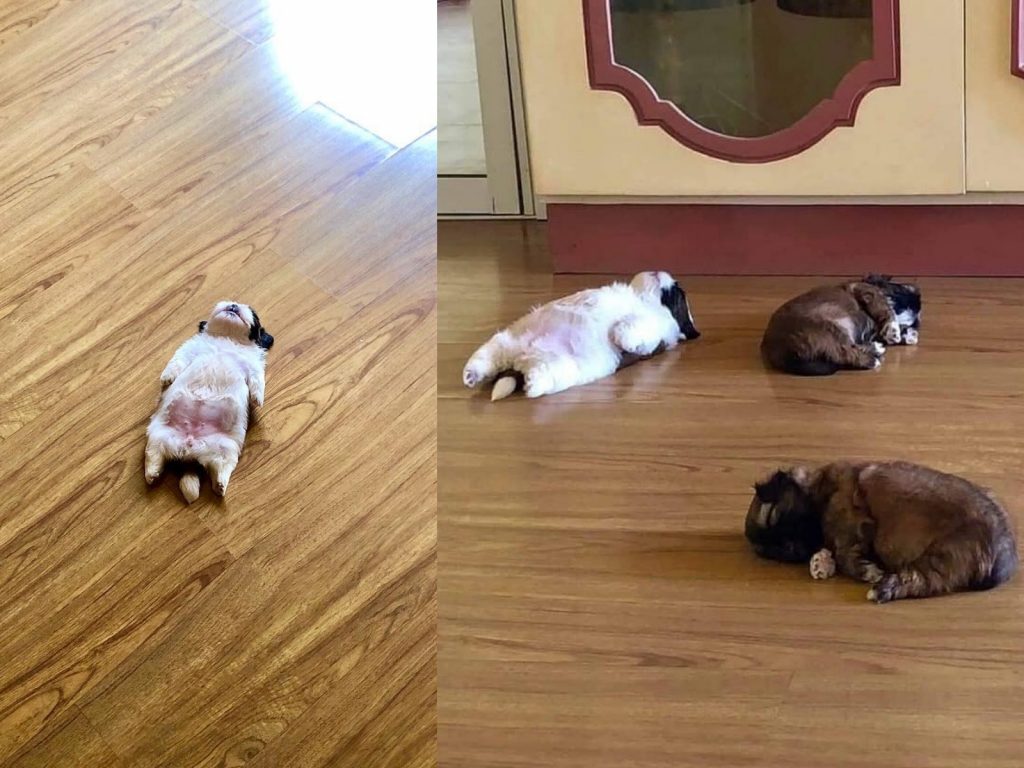 Panningning小時候因為這個毫無防備的睡姿爆紅。（圖／IG@therealpaningning） 