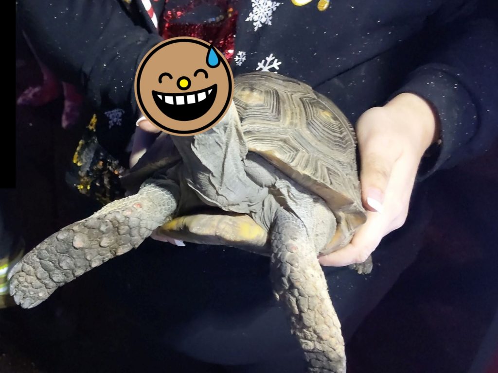 龜：氣氣氣氣氣！（圖／Facebook@Essex County Fire and Rescue Service） 