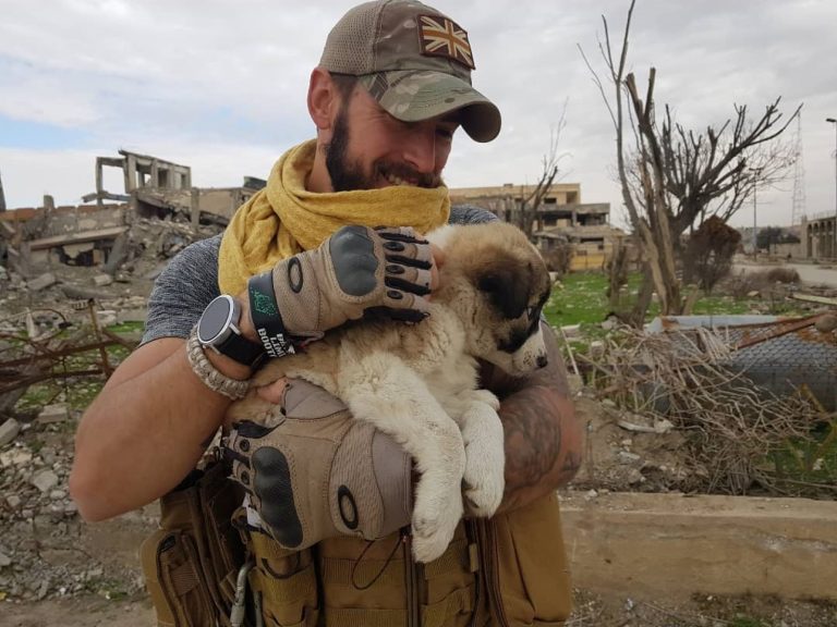 英國士兵在敘利亞戰地救出一隻獨自存活下來的小狗（圖／IG@barriespaws）