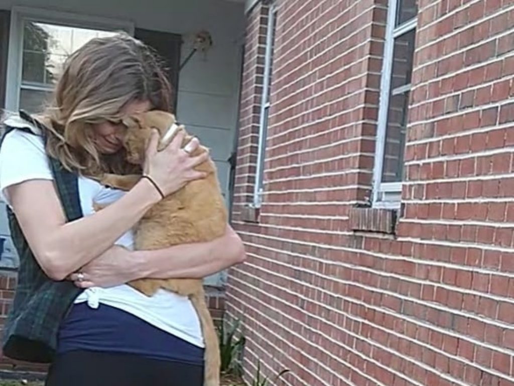 看到卡特滿足的模樣，明蒂才感受到心裡的傷口一點一點被填補起來。 (圖/Mindy Criner) 