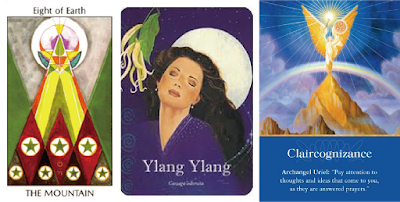 咪子老師／塔羅占卜　12月份職場+感情運勢大解析